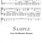 Gladiator - The Battle