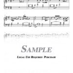 Whitney Houston - I Will Always Love You