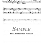 Elton John - Can You Feel the Love Tonight "Lion King"