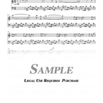 Roxette - It Must Have Been Love